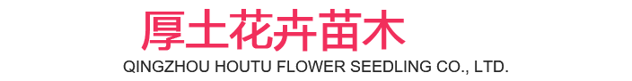 Qingzhou Houtu Flower Seedlings Co., Ltd.